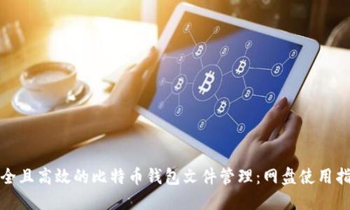安全且高效的比特币钱包文件管理：网盘使用指南