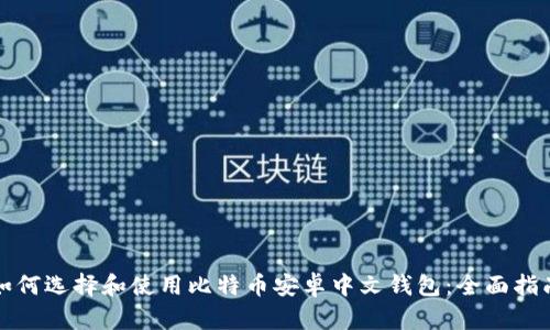 如何选择和使用比特币安卓中文钱包：全面指南