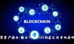 捍卫数字资产安全：解决TPWallet创建过程中的感叹