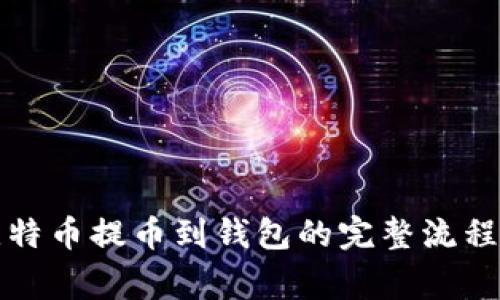 轻松了解比特币提币到钱包的完整流程与注意事项