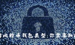 深入了解比特币钱包类型