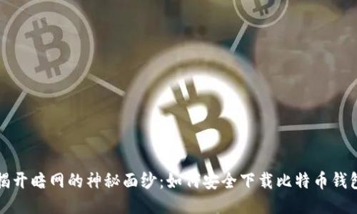揭开暗网的神秘面纱：如何安全下载比特币钱包