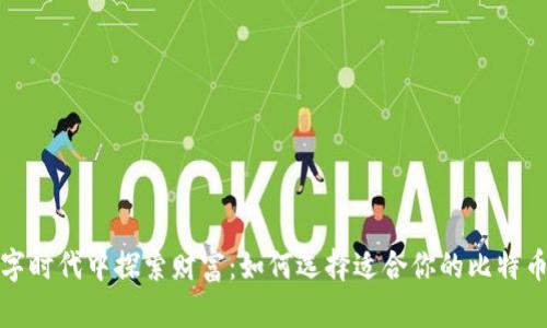 在数字时代中探索财富：如何选择适合你的比特币钱包