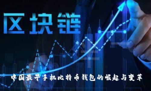 中国最早手机比特币钱包的崛起与变革