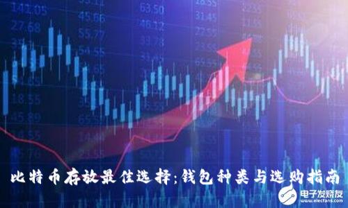 比特币存放最佳选择：钱包种类与选购指南