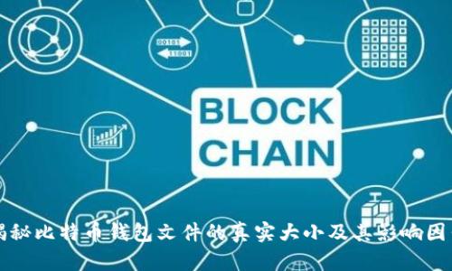 揭秘比特币钱包文件的真实大小及其影响因素