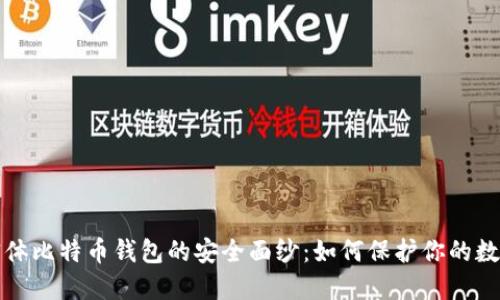 揭开实体比特币钱包的安全面纱：如何保护你的数字资产