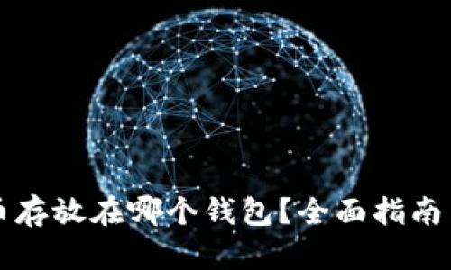 比特币存放在哪个钱包？全面指南与解析