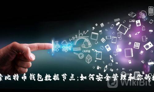 深入探索比特币钱包数据节点：如何安全管理和你的数字资产