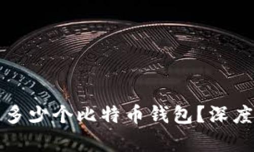 一个人可以拥有多少个比特币钱包？深度解析与实际案例