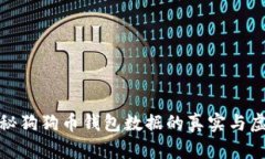揭秘狗狗币钱包数据的真