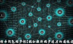 比特币钱包同步慢？揭秘