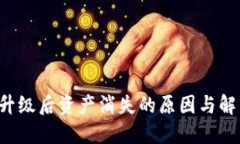  TPWallet升级后资产消失的