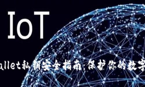 TPWallet私钥安全指南：保护你的数字资产