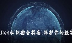TPWallet私钥安全指南：保护