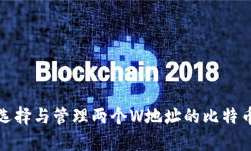 如何选择与管理两个W地址的比特币钱包