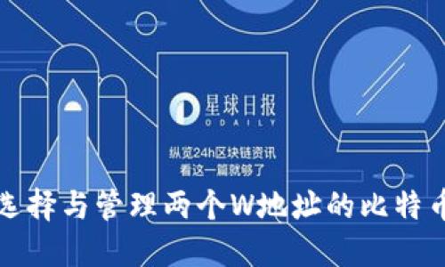如何选择与管理两个W地址的比特币钱包