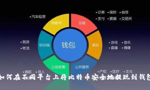如何在不同平台上将比特币安全地提现到钱包