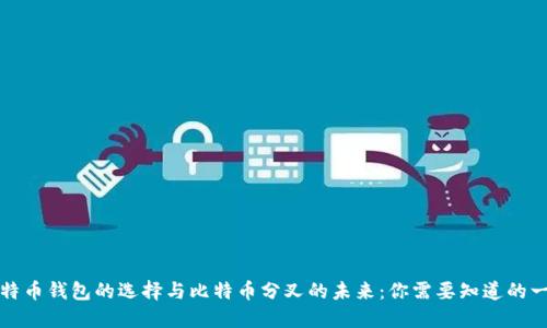 比特币钱包的选择与比特币分叉的未来：你需要知道的一切