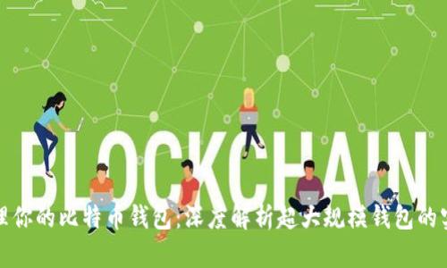 如何管理你的比特币钱包：深度解析超大规模钱包的实用价值