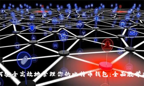 如何安全高效地管理你的比特币钱包：全面教学指南