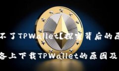 为什么苹果下不了TPWalle