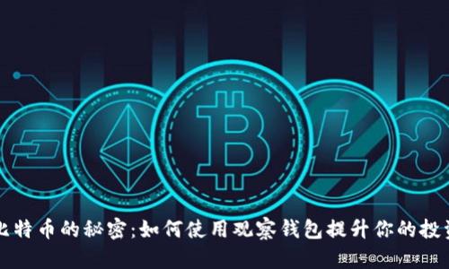 掌握比特币的秘密：如何使用观察钱包提升你的投资智慧