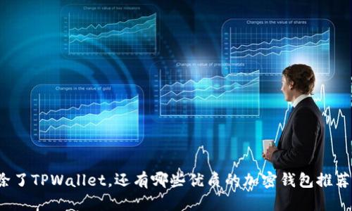 除了TPWallet，还有哪些优质的加密钱包推荐？