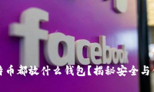 大佬们比特币都放什么钱包？揭秘安全与便捷的选择