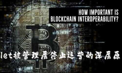 TPWallet被管理层停止运营的深层原因解析