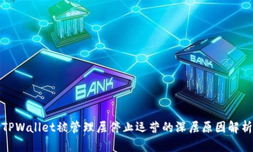 TPWallet被管理层停止运营的深层原因解析