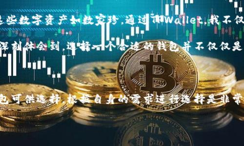 关于TPWallet及其替代方案的讨论，常常引发许多用户的关注。如果你正在寻找功能类似的数字钱包或者最优选择，下面的内容将为你提供一些实用的见解。

TPWallet是什么？

TPWallet是一款多功能的数字钱包，支持多种加密货币和区块链资产的存储、发送和接收。其用户界面友好，适合新手和有经验的用户。此外，TPWallet还提供了一些独特的功能，例如跨链交易、智能合约以及去中心化交易所的集成。

使用TPWallet的优势

TPWallet的最大优势在于其多链支持，这意味着用户可以在同一个平台上管理多种加密货币，而不需要使用多个钱包。对于很多用户来说，简化管理过程是一个巨大的吸引力。此外，TPWallet还具备较强的安全性和社区支持，使得用户在使用过程中更加放心。

TPWallet的潜在缺点

然而，TPWallet并非没有缺点。使用过程中，某些功能可能不够直观，尤其是对于刚接触加密货币的新手来说。此外，随着用户量的增加，交易速度偶尔会受到影响，有时候需要等待较长时间才能完成交易过程。

TPWallet的替代品

除了TPWallet，还有许多其他优秀的数字钱包可供选择。以下是一些备受推崇的替代方案：

ul
  listrongMetaMask/strong: 一款非常流行的以太坊钱包，支持ERC20代币，用户界面友好，并提供浏览器插件，方便用户在去中心化应用中进行操作。/li
  listrongTrust Wallet/strong: 这是Binance推出的一款多功能移动钱包，支持多种加密货币，界面简洁，安全性高，还能与去中心化交易所进行交互。/li
  listrongExodus/strong: 一款桌面和移动兼容的钱包，提供美观的用户界面，同时支持硬件钱包集成，增强了安全性。/li
/ul

选择合适的钱包的考虑因素

在选择数字钱包时，用户应考虑到以下几个因素：

ul
  listrong安全性/strong:  Wallet的安全性至关重要，选择提供多重身份验证和私钥管理功能的钱包。/li
  listrong用户体验/strong: 界面友好以及易于操作是大多数用户的基本需求。/li
  listrong支持的币种/strong: 如果你有多种加密货币，需要确保钱包支持你所持有的资产。/li
  listrong社区支持/strong: 选择有良好用户社区和反馈系统的钱包，可以在遇到问题时获得帮助。/li
/ul

个人经验分享

我小时候对科技的兴趣来源于不断的探索。在我早期接触数字货币的时候，我选择了一个钱包来管理我的资产，最开始我选择的就是TPWallet。随着时间的推移，我发现自己逐渐对这些数字资产如数家珍。通过TPWallet，我不仅能方便地进行交易，还有机会了解更多关于区块链技术的知识。

在使用TPWallet的过程中，我也遇到过一些困难，比如有几次由于网络延误而延迟了交易。不过在社区的帮助下，我逐步克服了这些困难，也锻炼了我的解决问题能力。这种经历让我深刻体会到，选择一个合适的钱包并不仅仅是为了存储数字资产，更是一个学习和成长的旅程。

总结

综上所述，TPWallet作为一个数字钱包，其多链支持和用户友好的设计吸引了大量用户。尽管存在一些小缺点，但它仍然是一个值得尝试的选项。同时，市场上还有许多其他优秀的钱包可供选择，根据自身的需求进行选择是非常重要的。在进行选择的时候，别忘了关注安全性、用户体验和社区支持等因素。通过不断学习和尝试，我相信你可以找到适合自己的数字钱包，让数字资产的管理变得更加轻松和愉快。

若你需要更详细的信息或特定钱包的对比，欢迎随时询问！