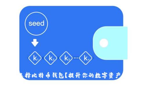 为何选择比特币钱包？提升你的数字资产安全性
