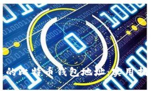 如何找回丢失的比特币钱包地址：实用指南与经验分享