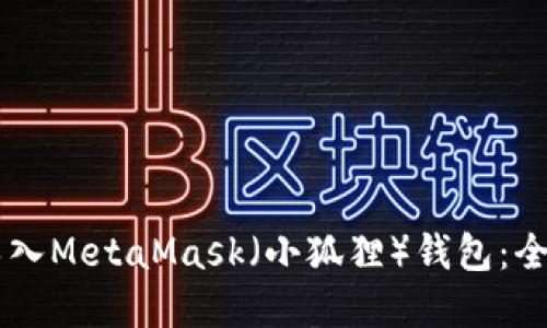 如何将TPWallet导入MetaMask（小狐狸）钱包：全面指南与实用技巧