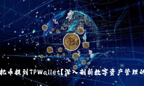 为什么要把币提到TPWallet？深入剖析数字资产管理的实用价值