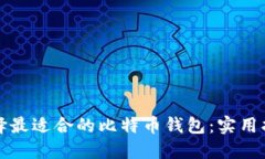 选择最适合的比特币钱包：实用指南