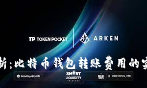 全面剖析：比特币钱包转账费用的实用指南