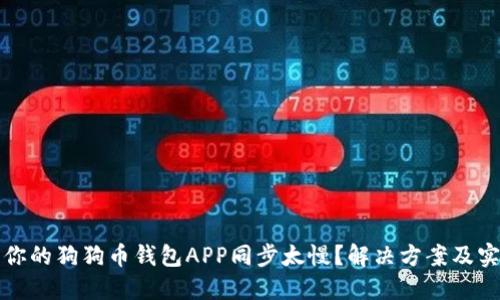 为什么你的狗狗币钱包APP同步太慢？解决方案及实用建议