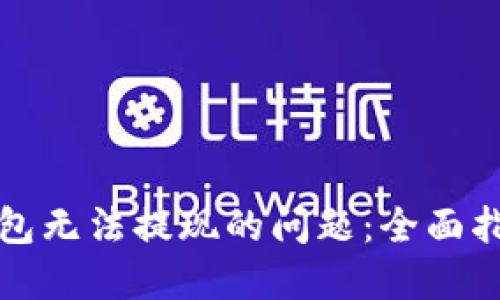 解决比特币钱包无法提现的问题：全面指南与实用建议