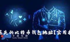 如何有效找回丢失的比特币钱包地址？实用指南