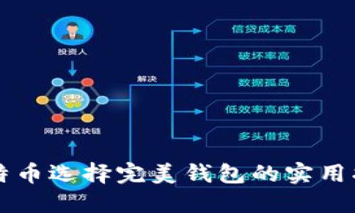 比特币选择完美钱包的实用指南