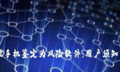 TPWallet被手机鉴定为风险软件：用户须知的安全警