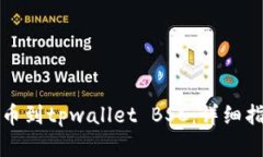 如何将欧易提币到tpwallet BSC：详细指南与实用技