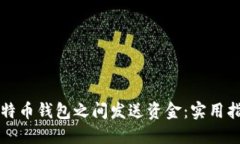 如何轻松在比特币钱包之间发送资金：实用指南