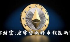 解锁数字财富：度宇宙比特币钱包的实用指南