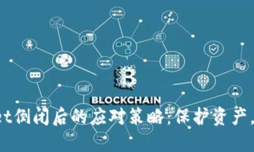 TP Wallet倒闭后的应对策略：保护资产，避免损失