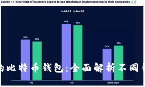 选择最安全的比特币钱包：全面解析不同钱包的安全性