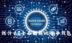 比特币钱包能查到什么？全面解析比特币钱包的