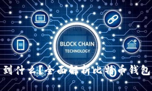 比特币钱包能查到什么？全面解析比特币钱包的信息及其用途